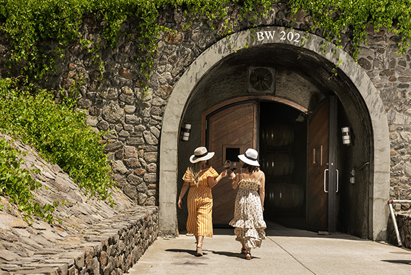 Daily Cave Tour and Tasting